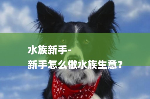 水族新手-
新手怎么做水族生意？