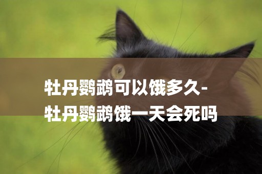 牡丹鸚鵡可以餓多久-
牡丹鸚鵡餓一天會死嗎