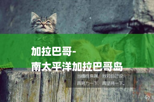 加拉巴哥-
南太平洋加拉巴哥島