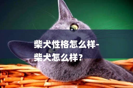 柴犬性格怎么樣-
柴犬怎么樣？