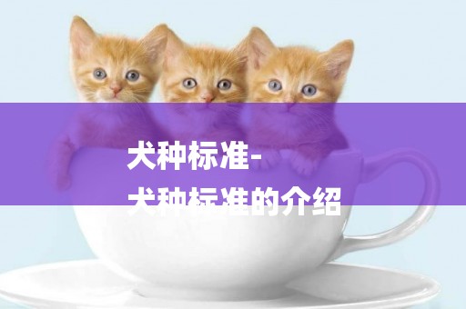 犬種標準-
犬種標準的介紹