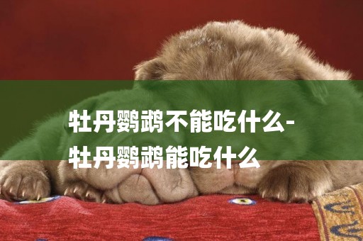 牡丹鸚鵡不能吃什么-
牡丹鸚鵡能吃什么