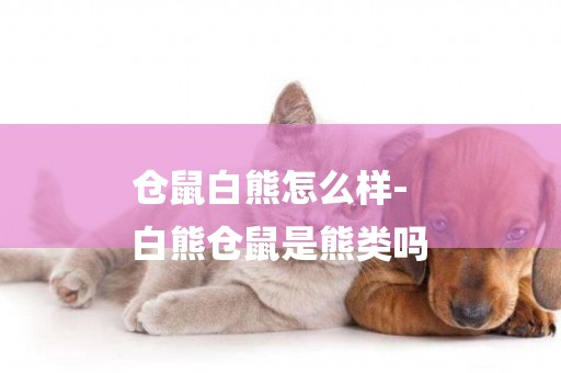 倉鼠白熊怎么樣-
白熊倉鼠是熊類嗎