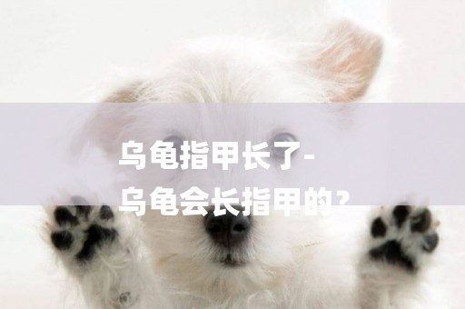 烏龜指甲長了-
烏龜會長指甲的？