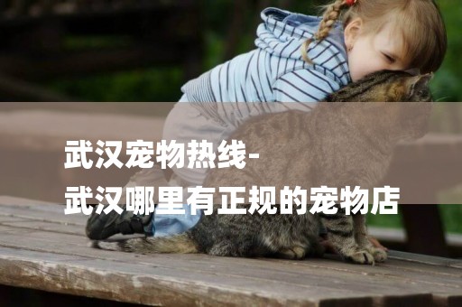 武漢寵物熱線-
武漢哪里有正規的寵物店