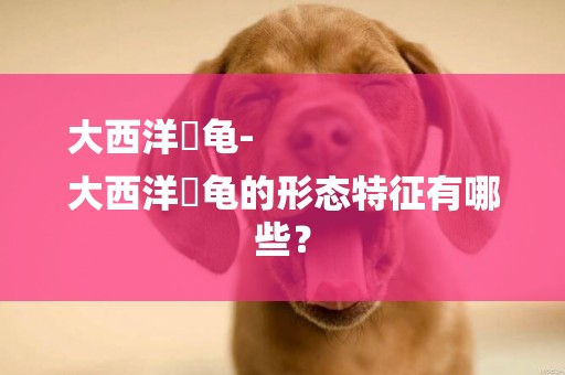 大西洋蠵龜-
大西洋蠵龜的形態特征有哪些？