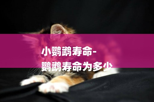 小鸚鵡壽命-
鸚鵡壽命為多少