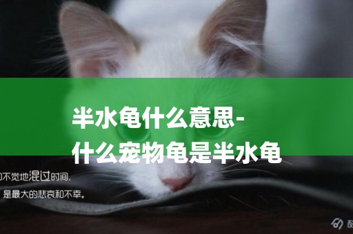 半水龜什么意思-
什么寵物龜是半水龜