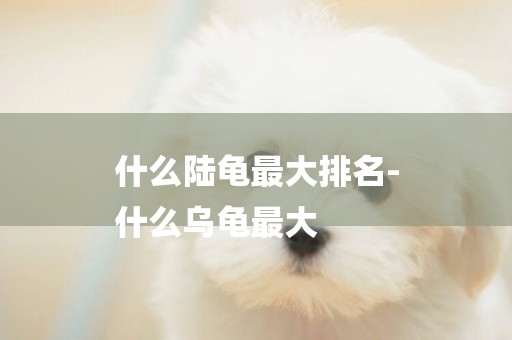 什么陸龜最大排名-
什么烏龜最大