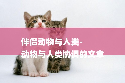 伴侶動物與人類-
動物與人類協調的文章