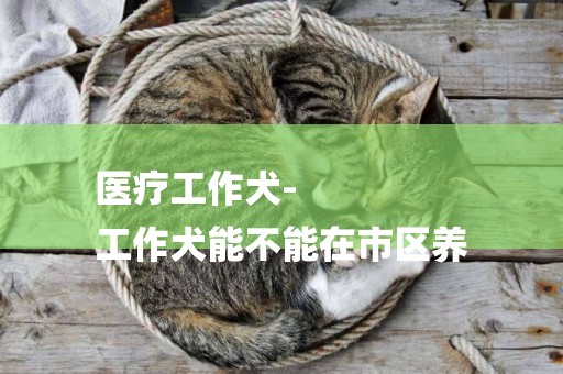 醫療工作犬-
工作犬能不能在市區養
