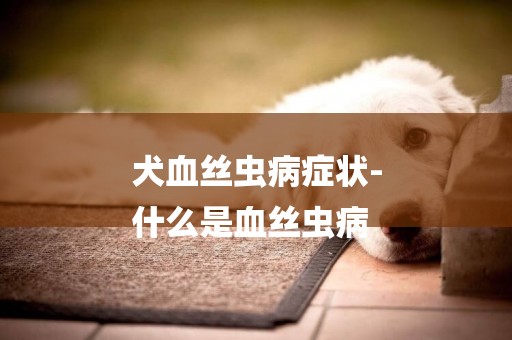 犬血絲蟲病癥狀-
什么是血絲蟲病