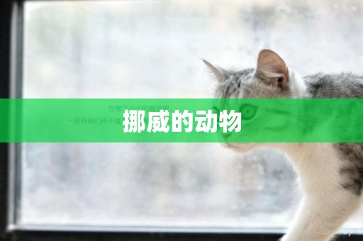 挪威的動物