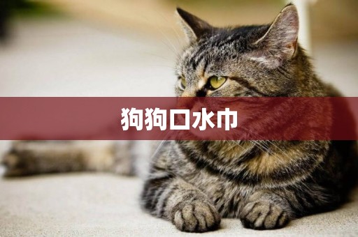 狗狗口水巾