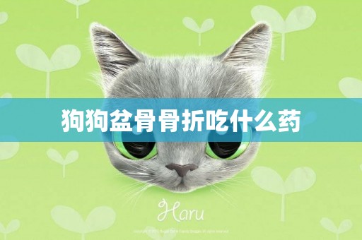 狗狗盆骨骨折吃什么藥