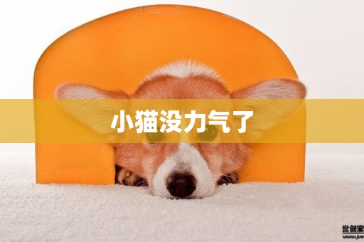 小貓沒力氣了