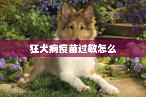 狂犬病疫苗過敏怎么