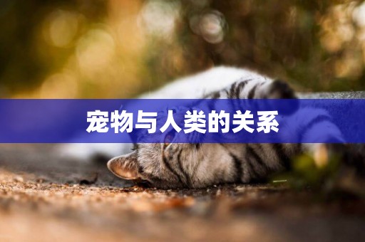 寵物與人類的關系