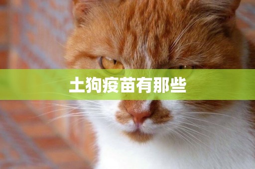 土狗疫苗有那些