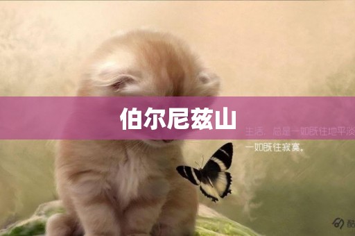 伯爾尼茲山
