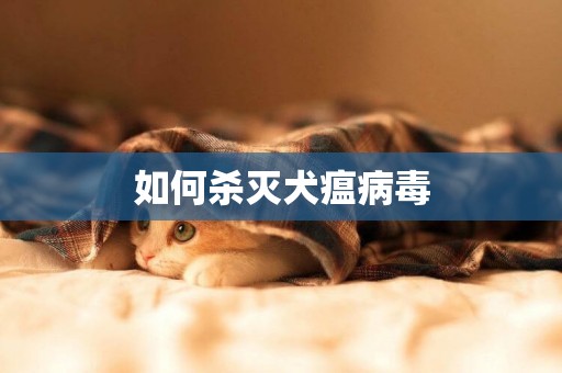 如何殺滅犬瘟病毒