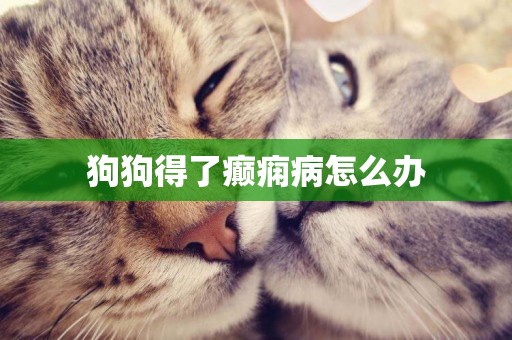 狗狗得了癲癇病怎么辦