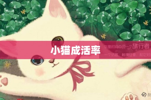 小貓成活率