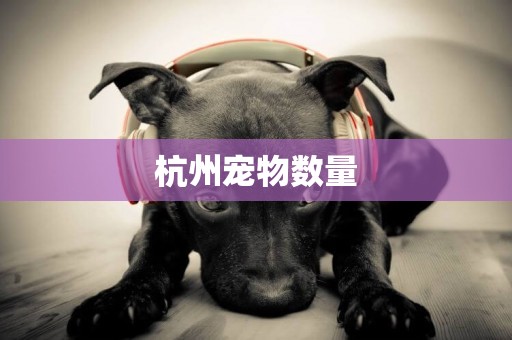 杭州寵物數量