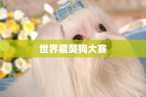 世界藏獒狗大賽