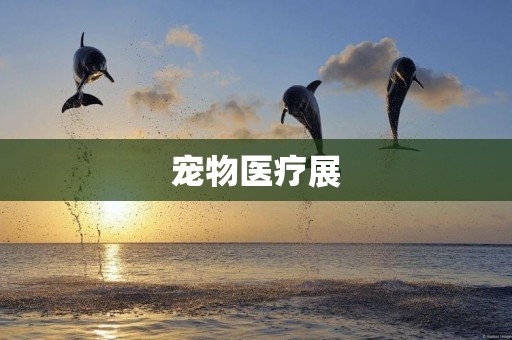 寵物醫療展