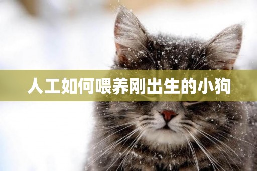 人工如何喂養剛出生的小狗