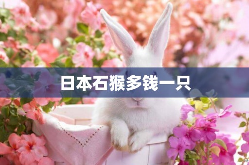 日本石猴多錢一只