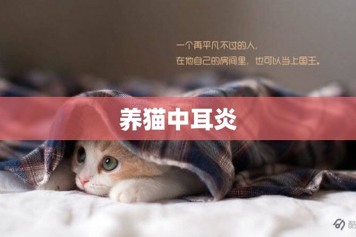 養貓中耳炎