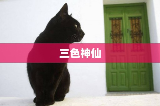 三色神仙