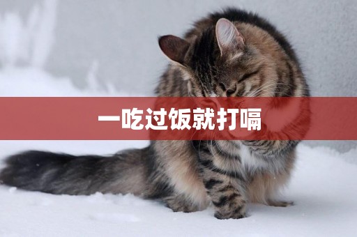 一吃過飯就打嗝
