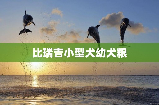 比瑞吉小型犬幼犬糧