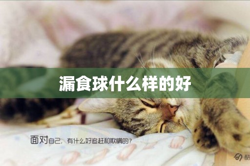 漏食球什么樣的好
