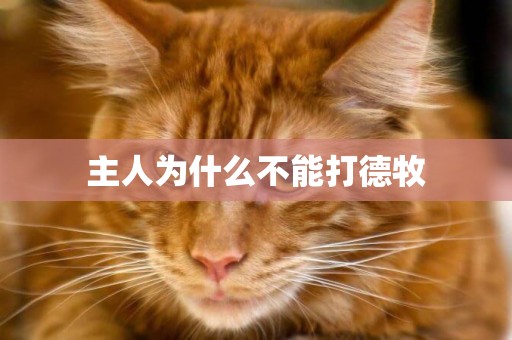 主人為什么不能打德牧
