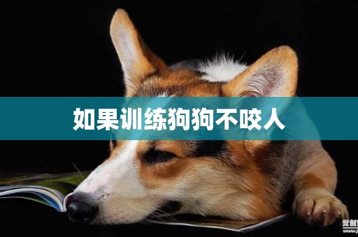 如果訓練狗狗不咬人