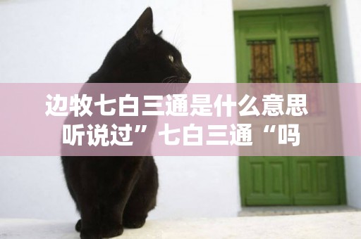 邊牧七白三通是什么意思 聽說過”七白三通“嗎