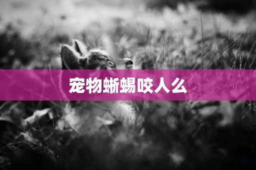 寵物蜥蜴咬人么