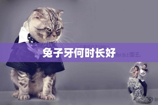 兔子牙何時長好