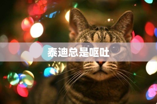 泰迪總是嘔吐
