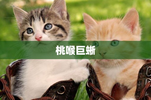 桃喉巨蜥