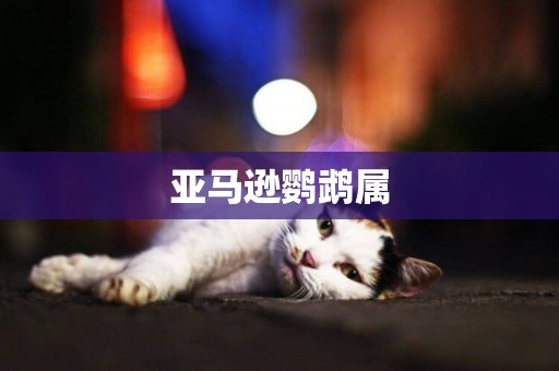 亞馬遜鸚鵡屬
