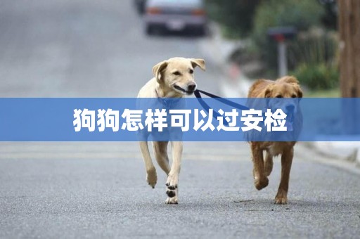 狗狗怎樣可以過安檢