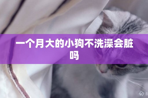 一個月大的小狗不洗澡會臟嗎