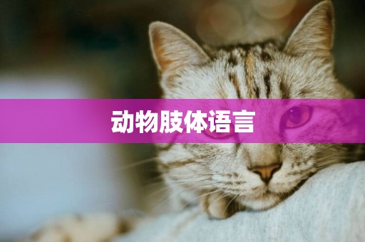動物肢體語言