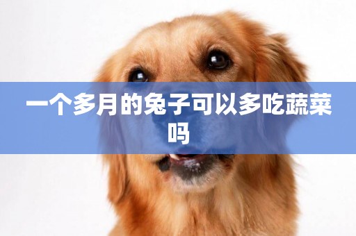 一個多月的兔子可以多吃蔬菜嗎