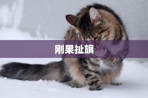 剛果扯旗